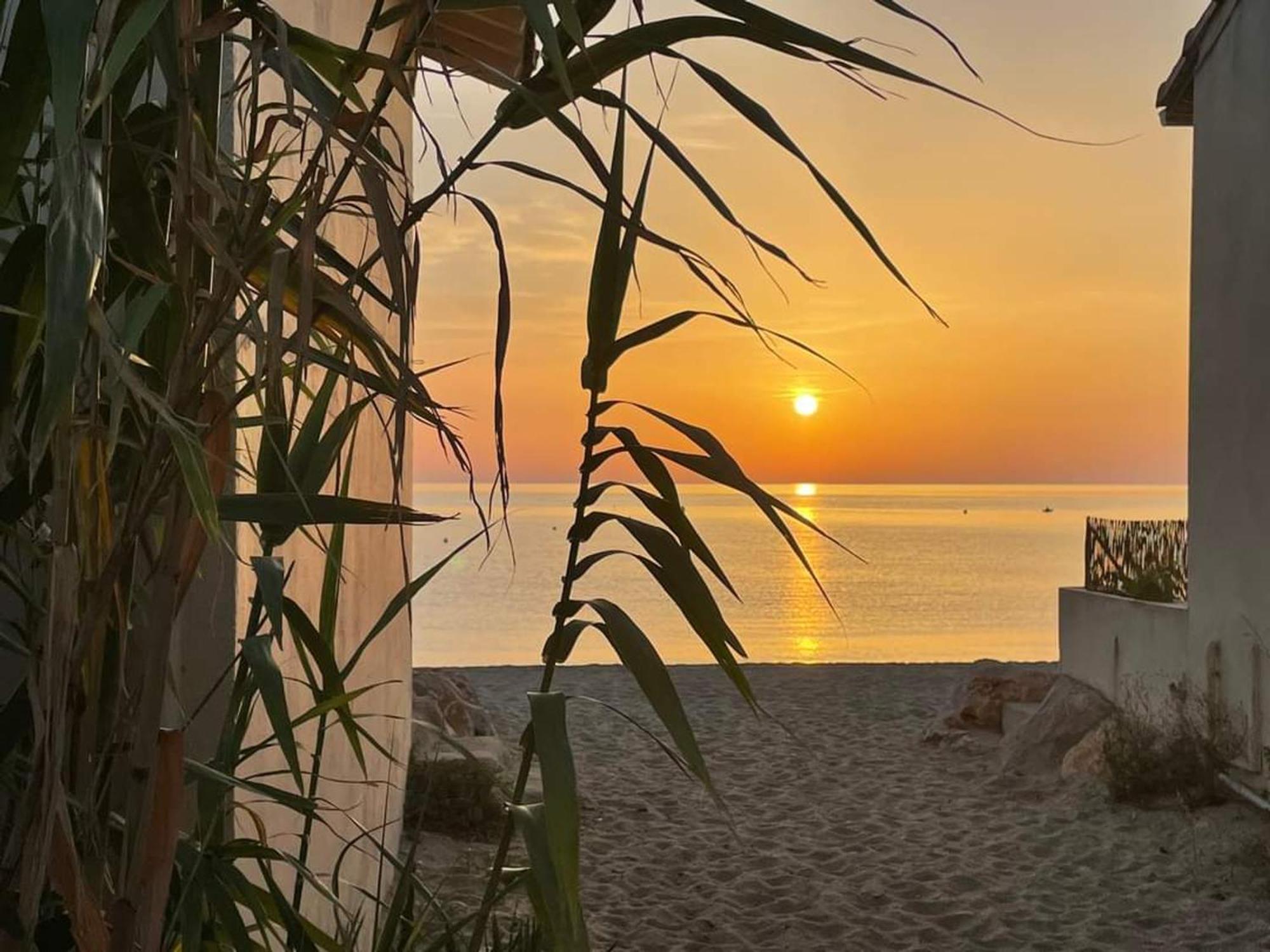 Pavillon 6 Pers A Argeles-Sur-Mer: Piscine, Clim, Parking, Wifi, Proche Plage - Fr-1-776-5 Exteriér fotografie